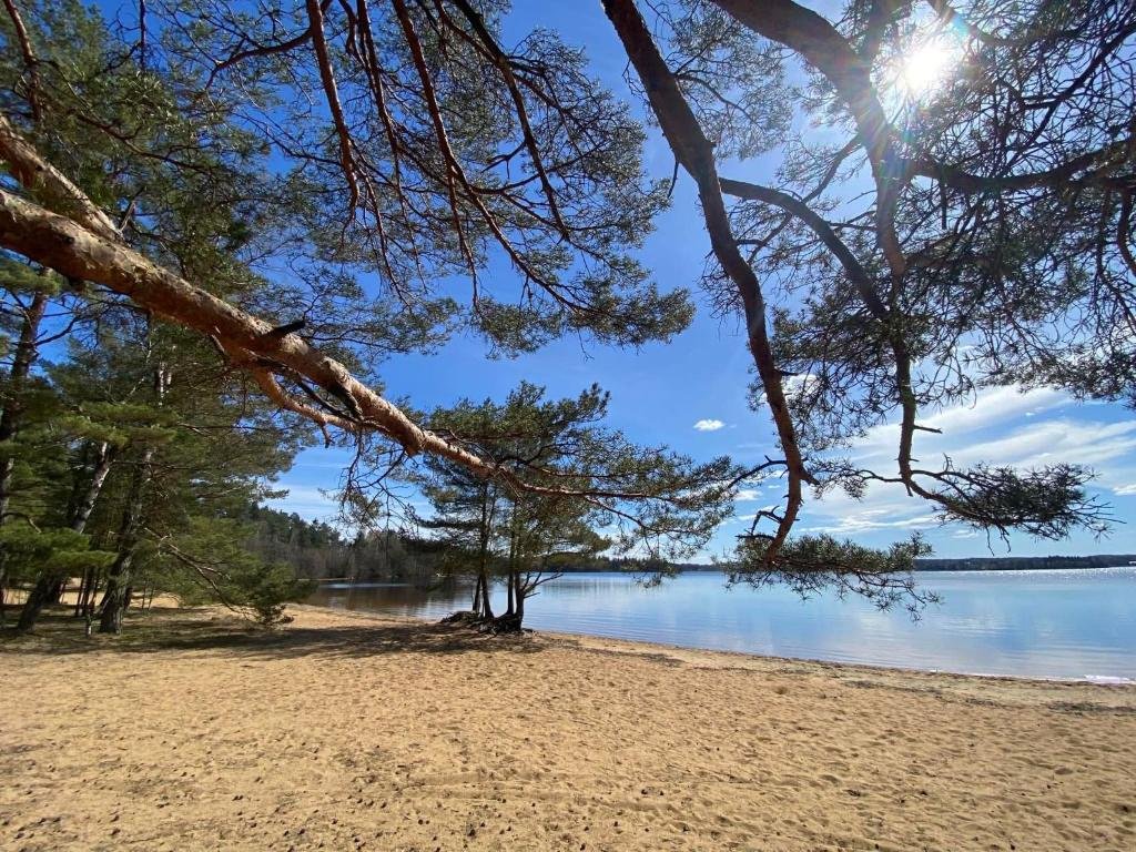 Příroda